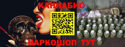 МДПВ Славгород