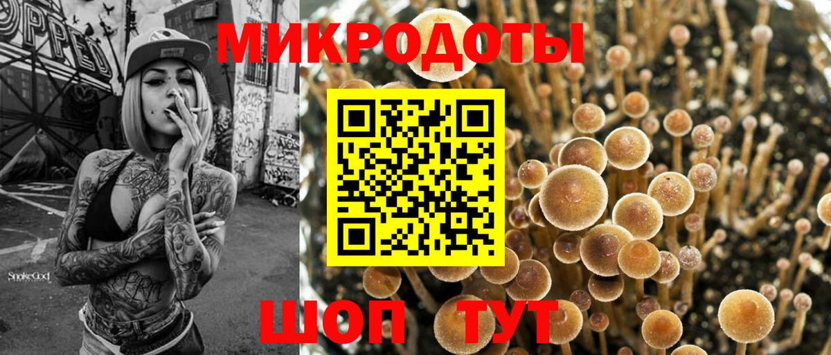 Саяногорск  Галлюциногенные грибы прущие грибы  закладка  Вход с VPN 