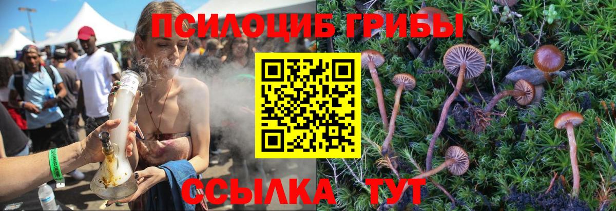 Галлюциногенные грибы мухоморы Саяногорск